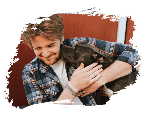 Teammate3 Free Img 1