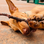 Captura De Tela 2025 11 12 230549 150x150